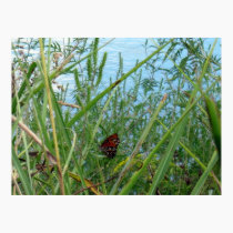 Butterfly by the River posters