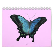 butterfly cal calendars