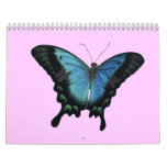 butterfly cal calendar