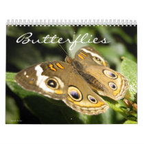 Butterfly Calendar