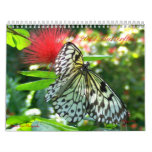 Butterfly Calendar