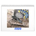 Butterfly Calendar 2009