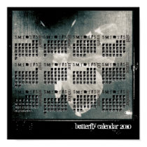 Butterfly Calendar 2010 posters