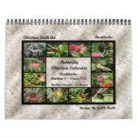 Butterfly Calendar ~ Matthew 5:1-12