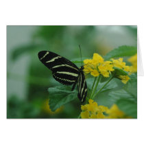 Butterfly Card