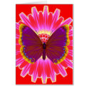 Butterfly cards by elonium Butterfly cards