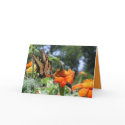 Butterfly Card by Just_For_Mom Butterfly Card