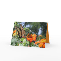 Butterfly Card