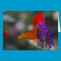 Butterfly Card cards