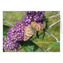 butterfly cards
