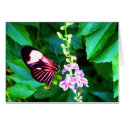 Butterfly Card by TheMoopies Butterfly Card