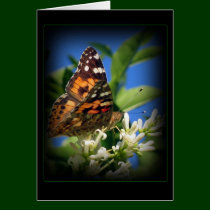 Butterfly card
