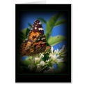 Butterfly card