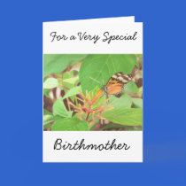 Butterfly cards