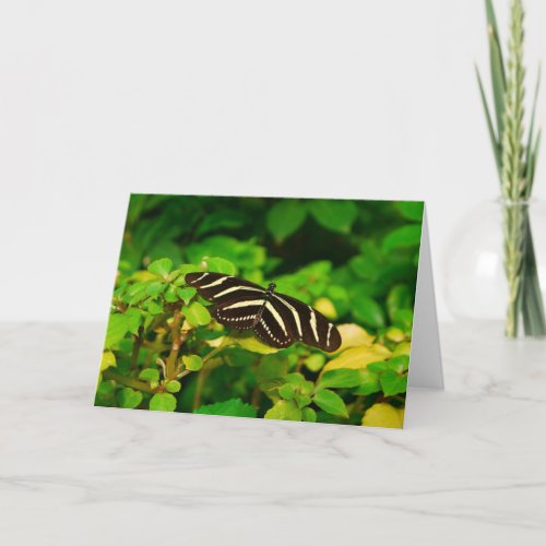 Butterfly Card card