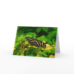Butterfly Card cards