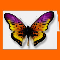 Butterfly cards