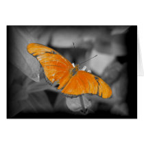 Butterfly cards