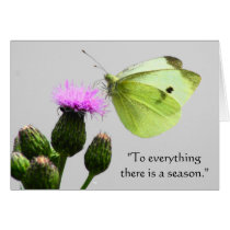 Butterfly Card cards