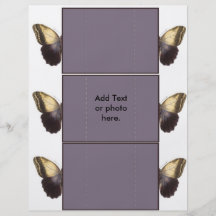 Butterfly Card Flyers