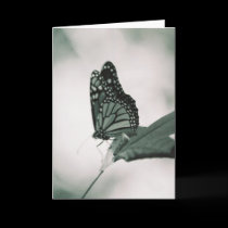 Butterfly Card in Black & White cards