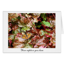 Butterfly cards