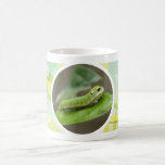Butterfly Caterpillar Larva Mug