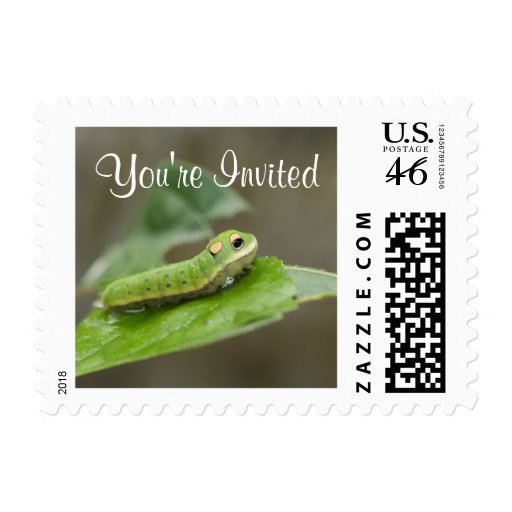 Butterfly Caterpillar Larva Postage Stamp