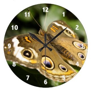Butterfly Clock