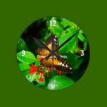 Butterfly Clock wall clocks