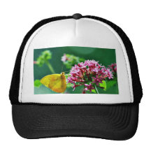 Butterfly Cloudless Sulphur Mesh Hats