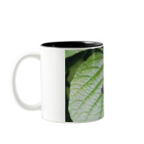 Butterfly Coffee Cup mugs