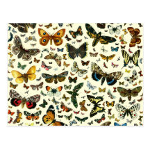 Butterfly Collage Postcards