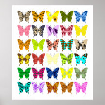 Butterfly Collage Print