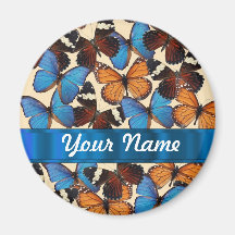 Butterfly collection magnet