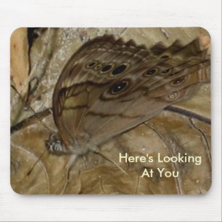 Butterfly Collection mousepad