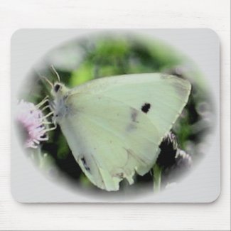 Butterfly Collection mousepad