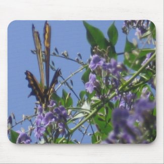 Butterfly Collection mousepad