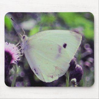 Butterfly Collection mousepad