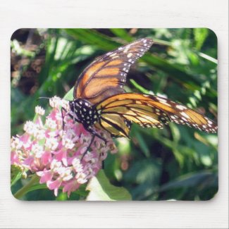 Butterfly Collection mousepad