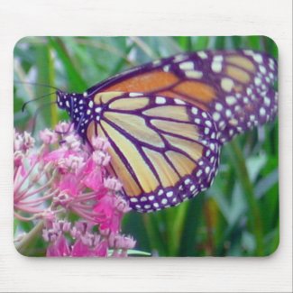 Butterfly Collection mousepad