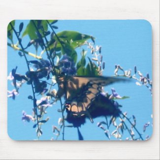 Butterfly Collection mousepad