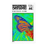 Butterfly colorized pretty photograph graphic stamp