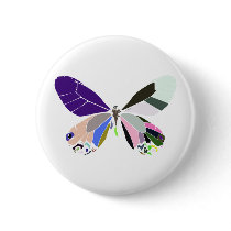 butterfly colors buttons