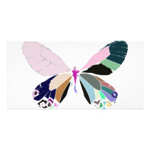 butterfly colors photo cards