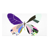 butterfly colors photo cards