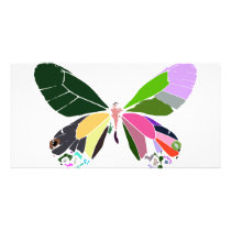 butterfly colors photo cards