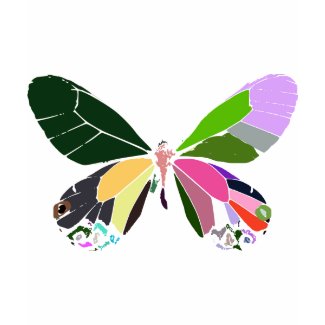 butterfly colors shirt