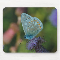 Butterfly Common Blue on thistle mousepad