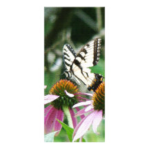 Butterfly Coneflowers Book Mark Rack Card